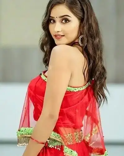 Call Girls Service Amod
